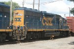 CSX 6201